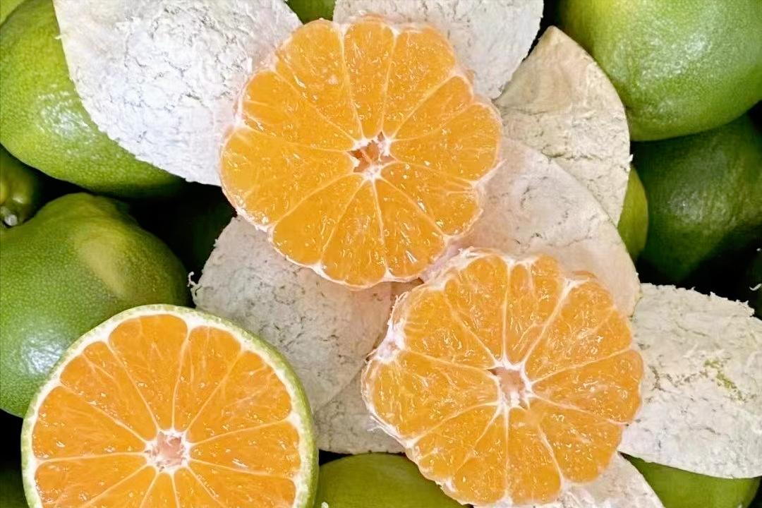 日本柑橘起源,日本柑橘来历