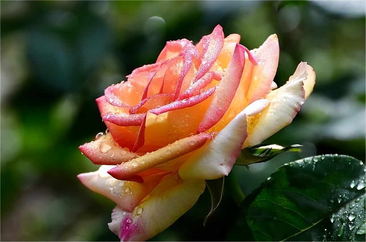 一个女人到底爱不爱你怎么看出来,女人爱你真实表现