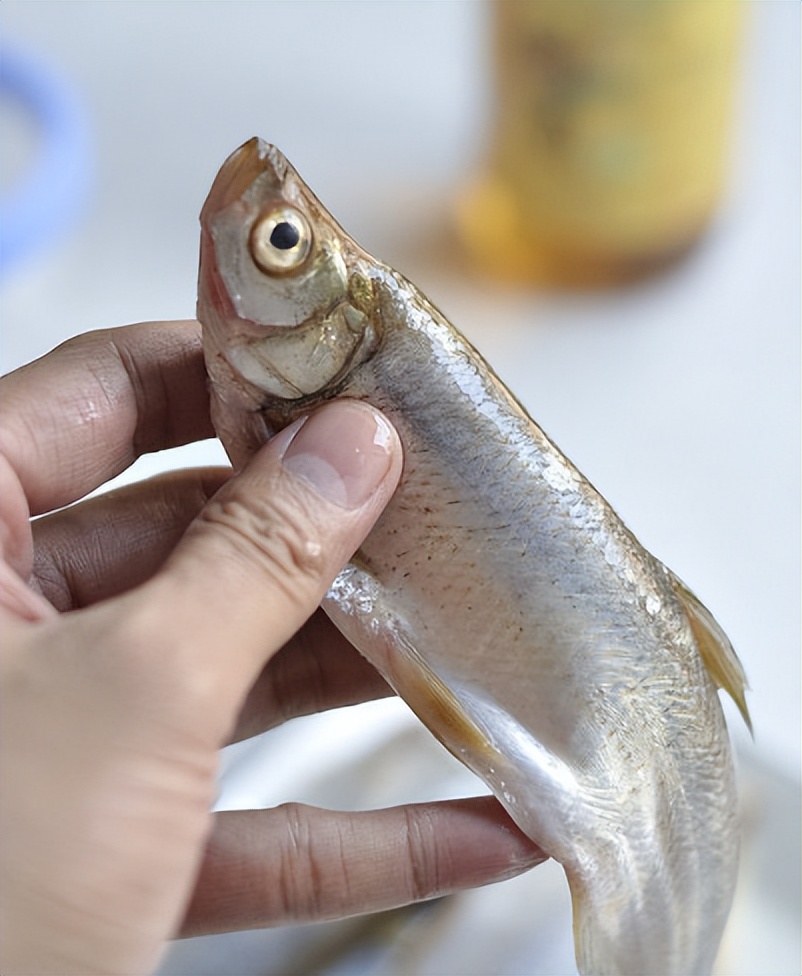 翘嘴鱼有几种哪种最长,野生翘嘴鱼最大有多大