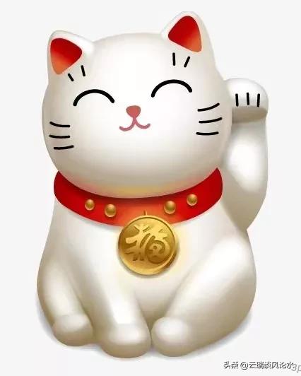 招财猫会干什么,怎样选择招财猫