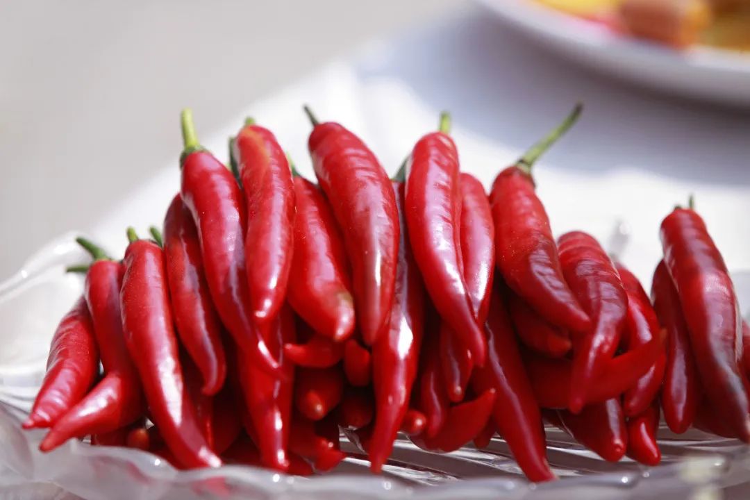 好多来黄水避暑的人,黄水康养