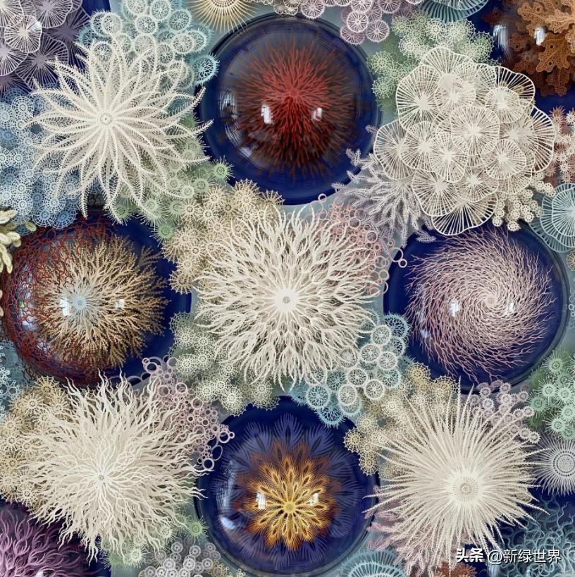 一组纸艺作品,令人惊艳的纸艺作品