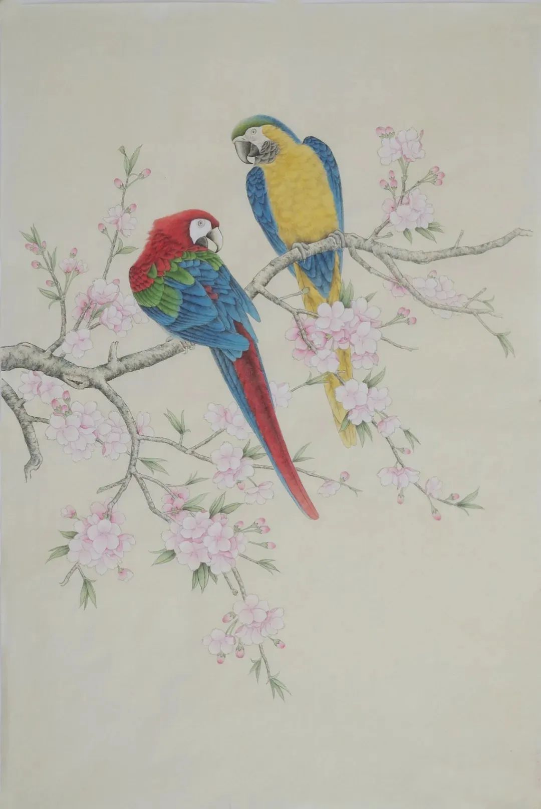 工笔画鹦鹉技法大全,工笔鹦鹉的画法和视频