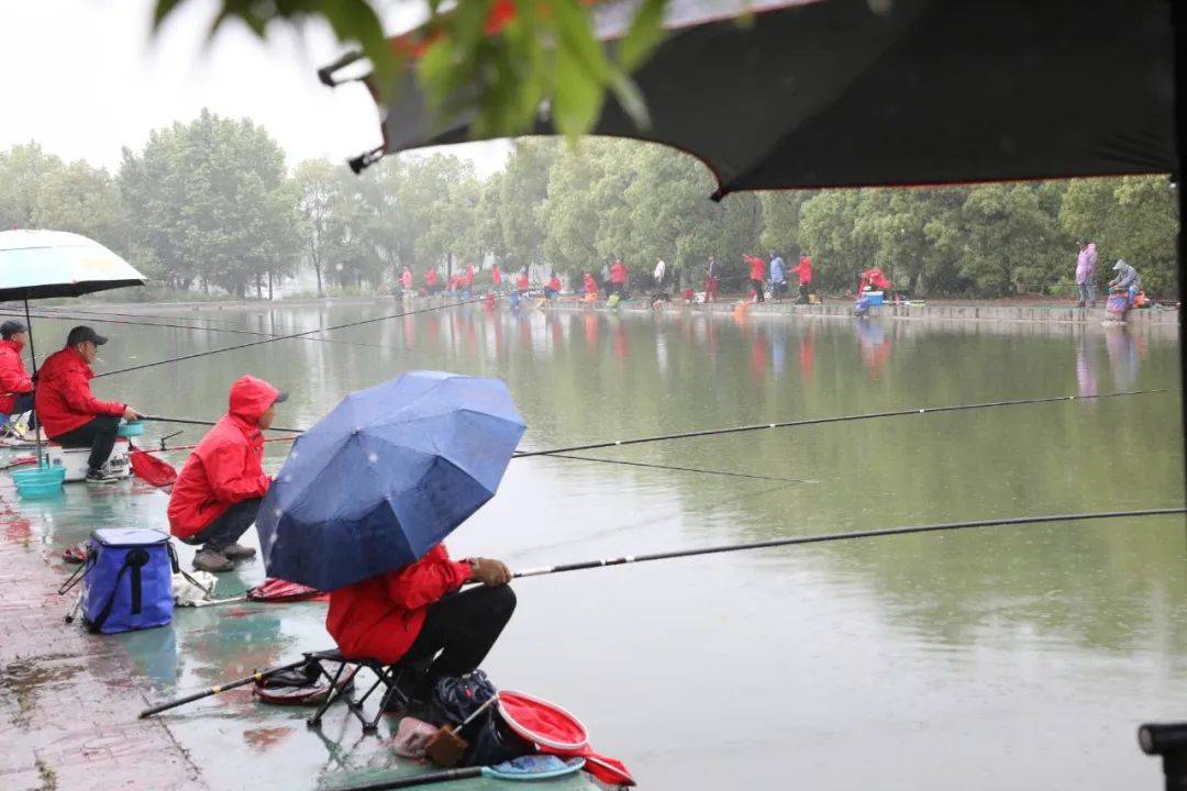 朱巧林夜钓争霸赛视频,第四届和善园杯星钓联赛总决赛