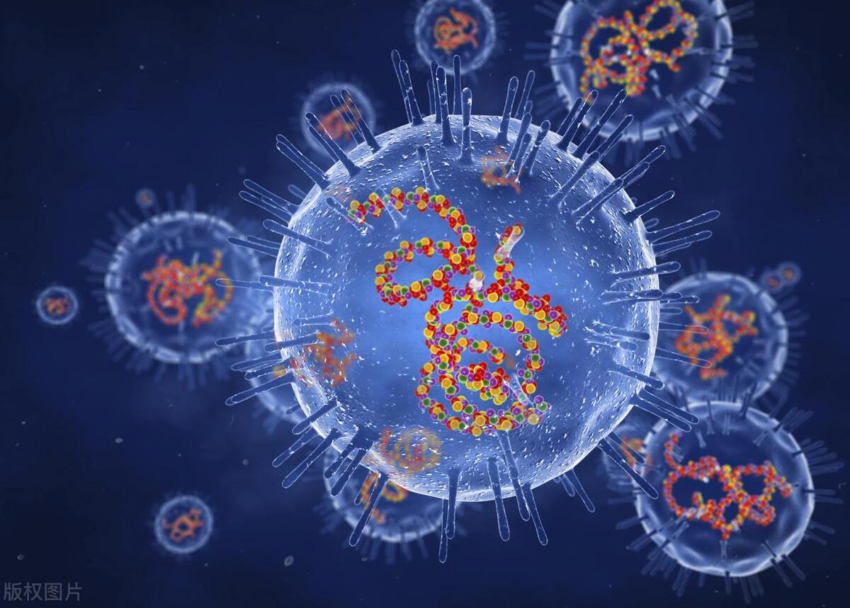 8宀佸コ鍎胯娆哄噷,甯コ鍎挎礂瑁ゅ瓙