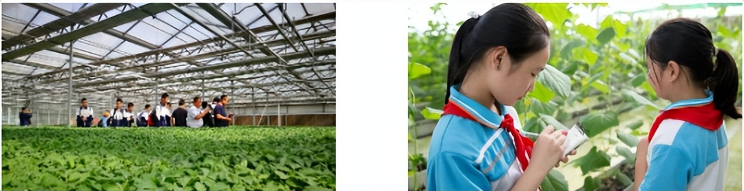 在休闲度假区有什么项目可操作,快来看看哪些项目更受欢迎