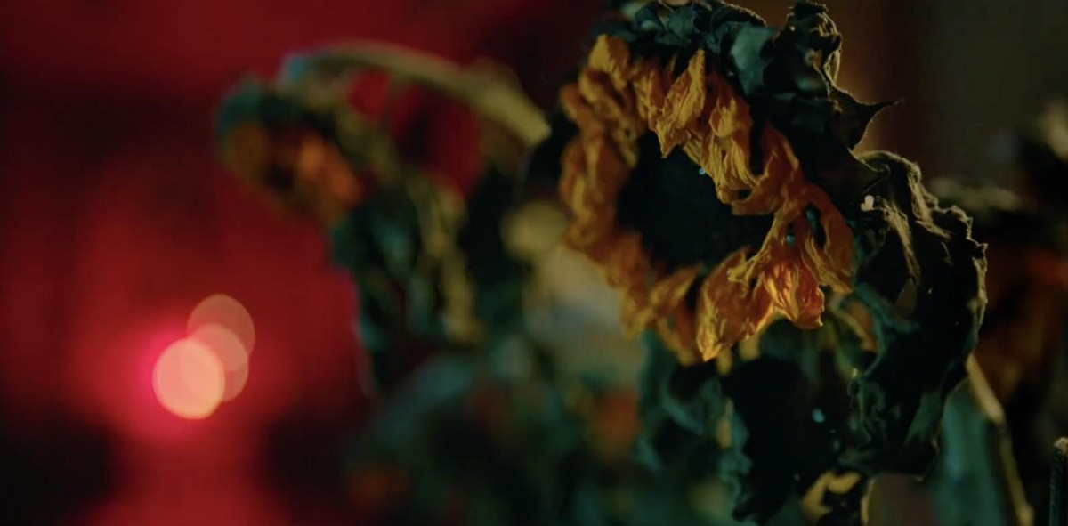 消失的她票房破20亿解说,消失的她票房35亿代表什么