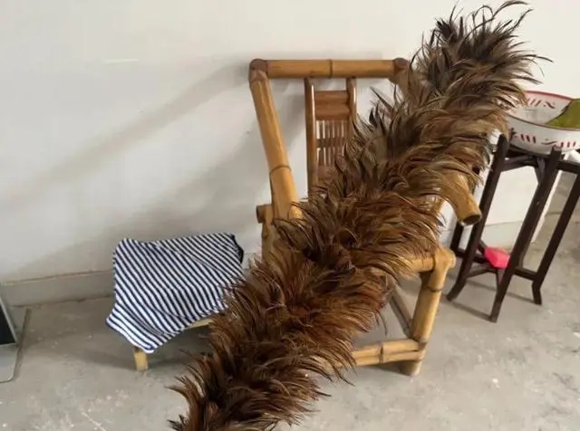 家里很多毛絮灰尘如何解决,家里毛絮灰尘怎么消除