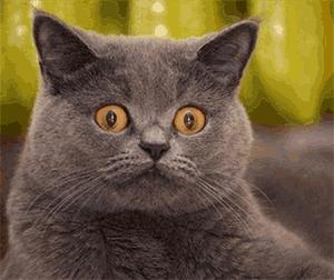 关于睡眠面膜你要知道的3个“雷区”,厚敷效果好,敷完不清洗