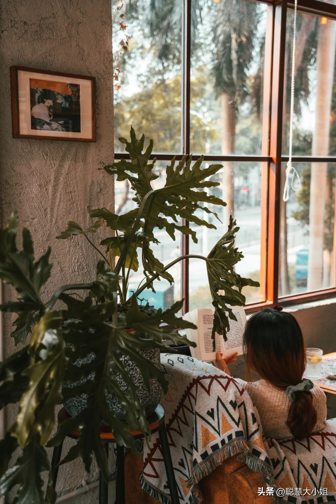 珠海百岛之城排名,广东珠海千岛之城