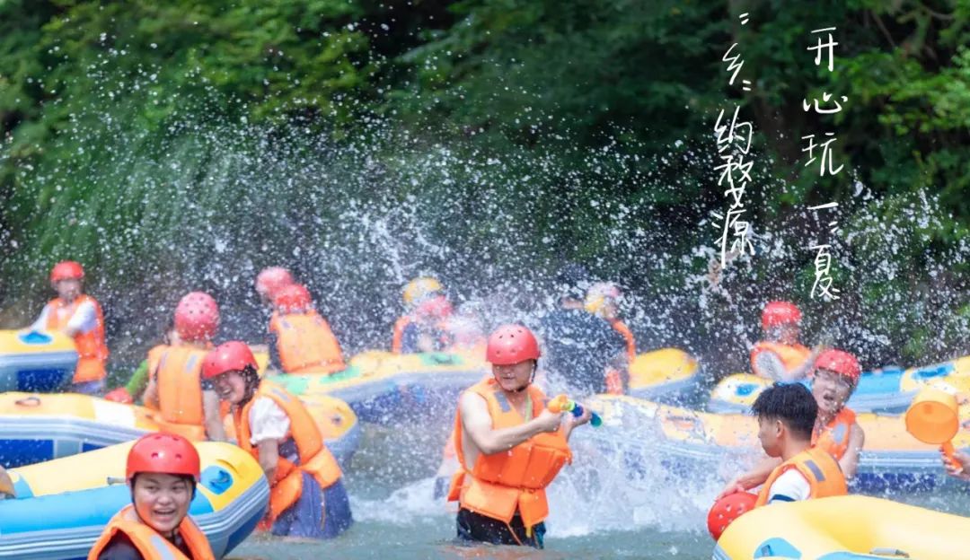 希望的田野获奖,获金奖希望的田野