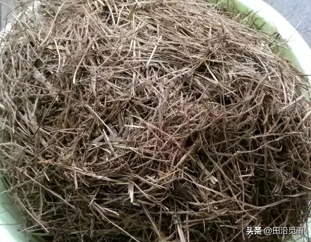 松树盆景土配制方法,黄杨盆景土配制方法