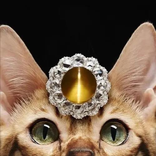 猫眼宝石基本知识,科普所有宝石全集