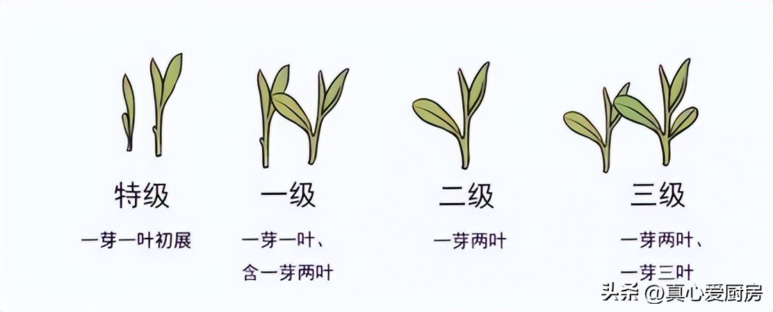 网购买茶，外行关注价格，内行则看这“3个标志”，早了解早受益