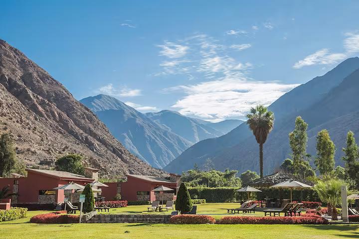 突尼斯历史遗产和建筑，反映了突尼斯怎样的文化背景？