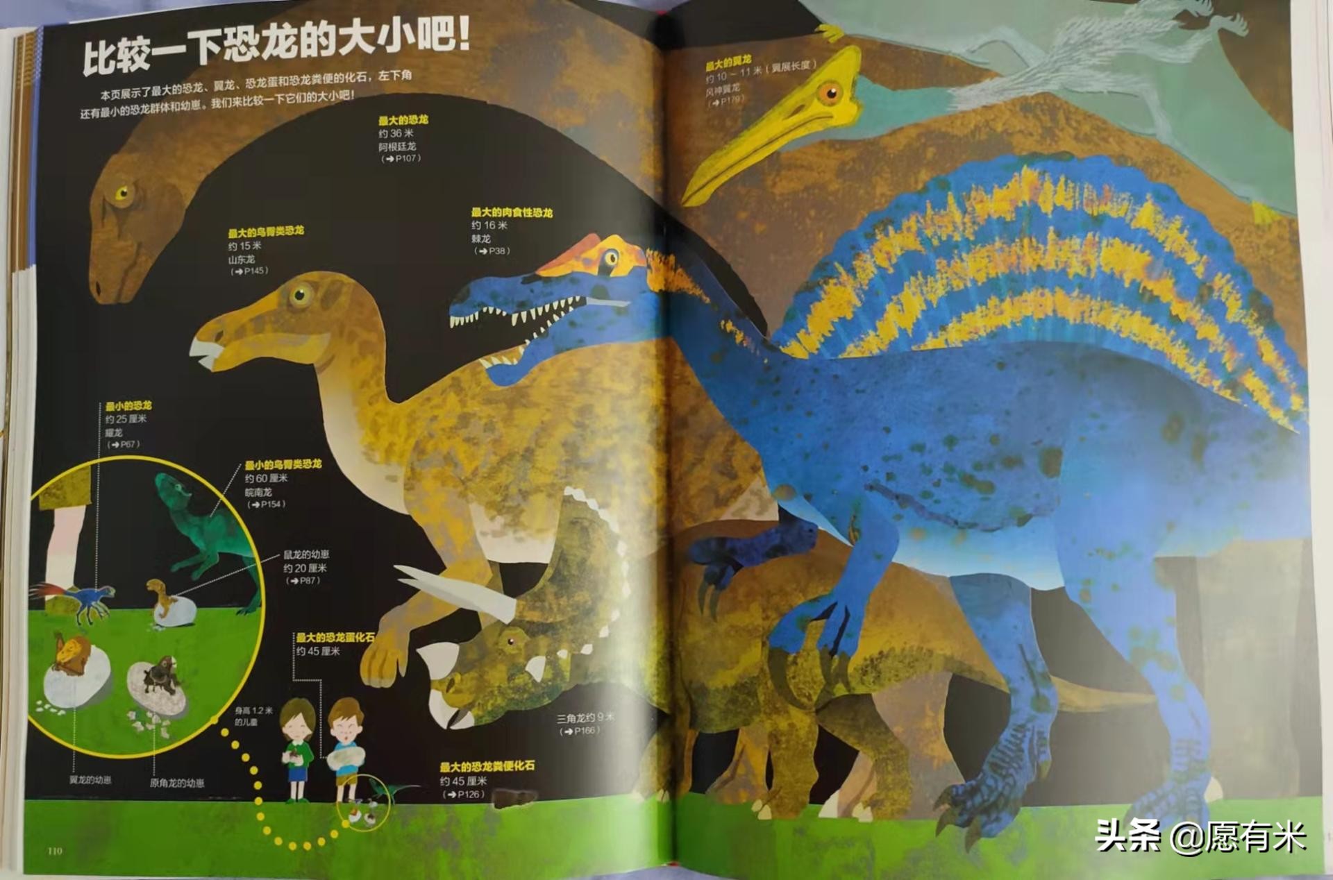 恐龙图片大全大图和恐龙名称,恐龙世界各种恐龙图片