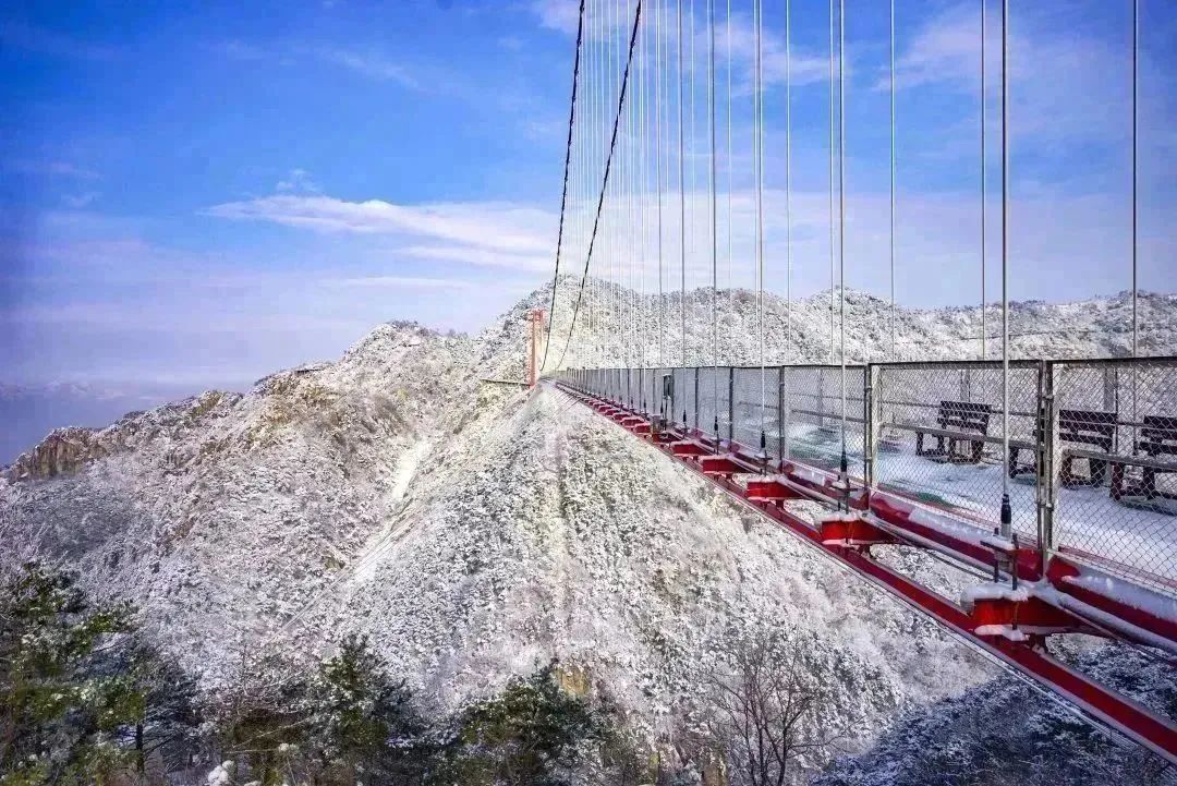 世界杯抢门票活动,竞彩世界杯门票