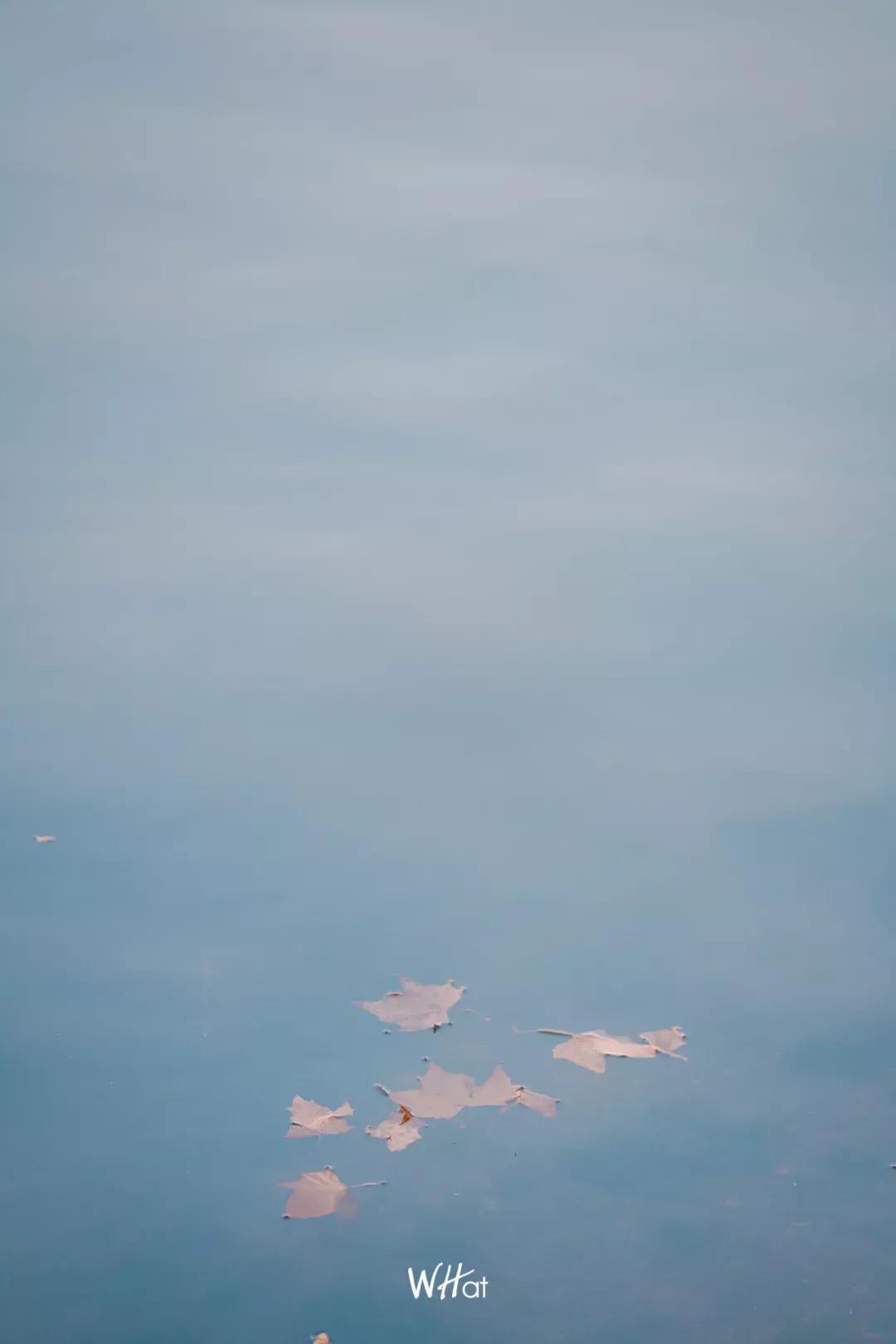 武汉人的冬天专属指南,武汉人的冬天为什么那么冷