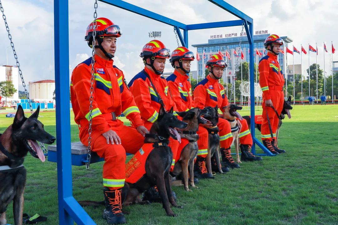 王鹏这个人怎么样,王鹏评价