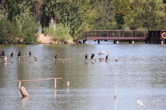 神秘的五个地方,神秘的5个地方