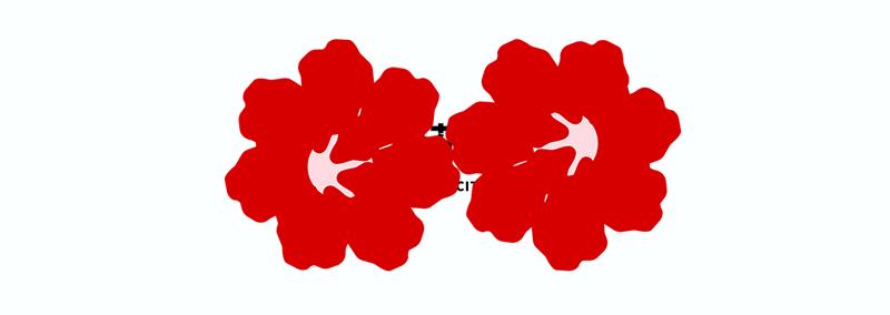 十堰花园城有什么牌子,十堰花园城人气怎么样