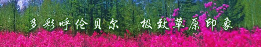 中华人民共和国传染病防治法全文,个人和单位违反传染病防治法