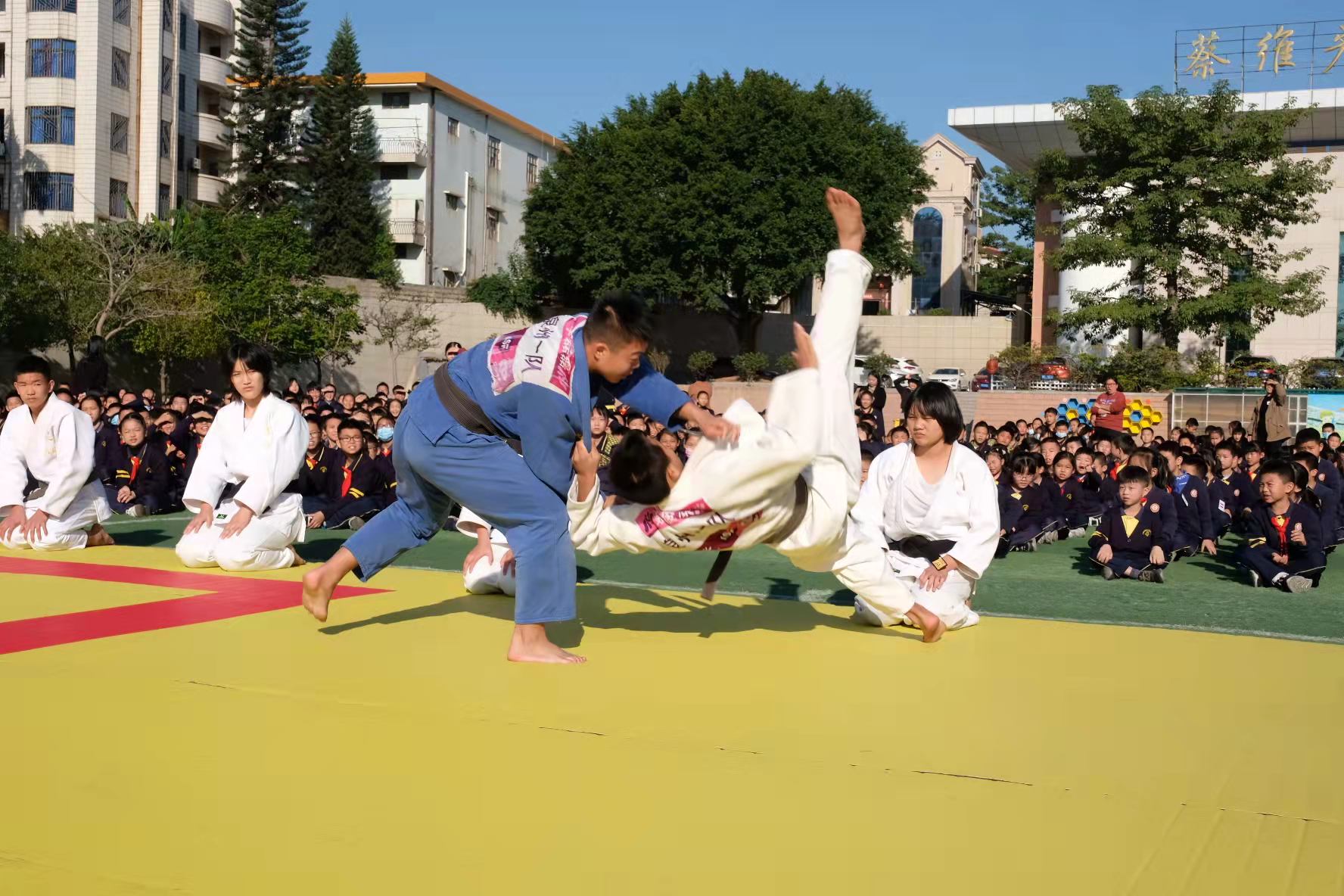 柔道项目进校园,柔道教育