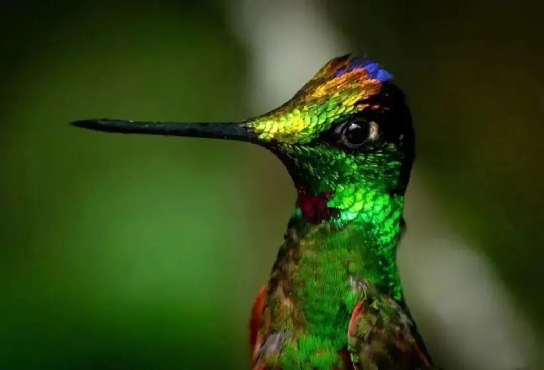 趣知识科普,趣知识