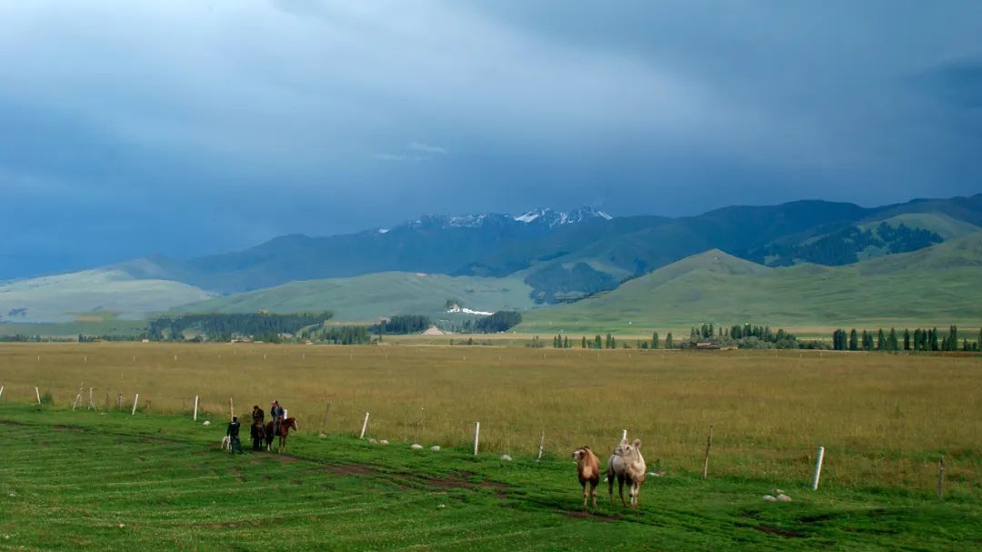 疆旅之旅,新疆新旅程旅行