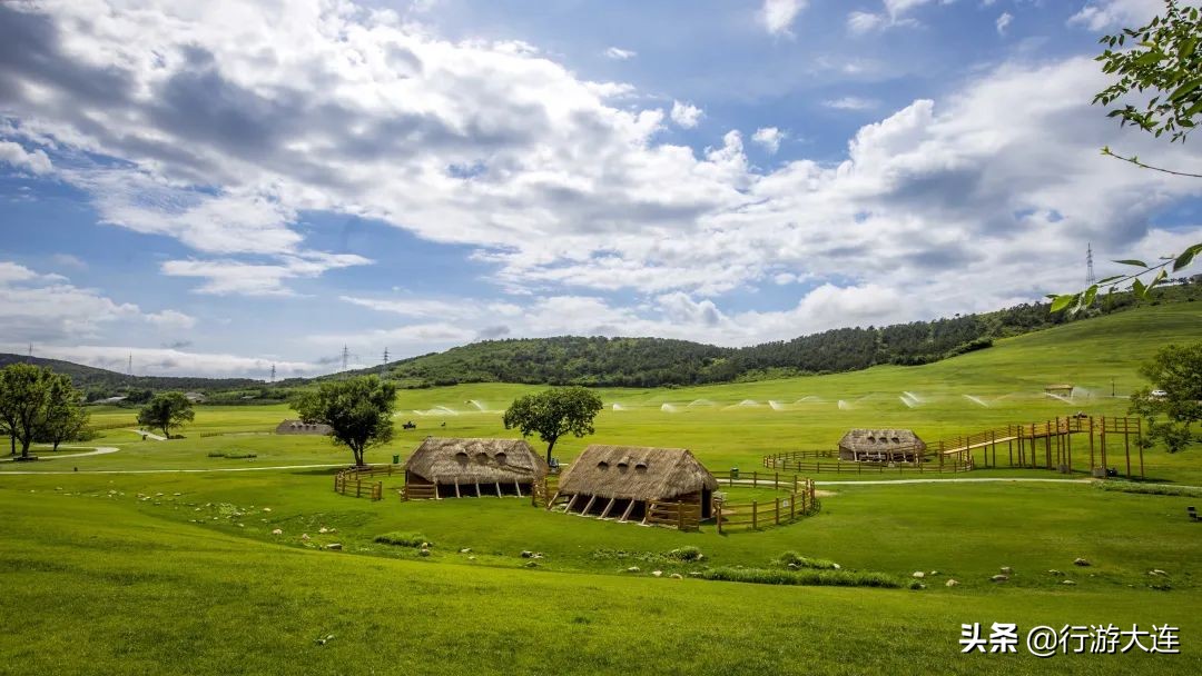 大连国庆遛娃好去处,大连春游遛娃最适合去的地方