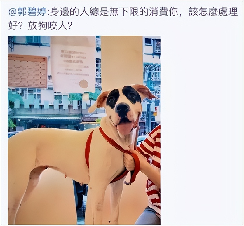 向太陈岚钻戒多少钱,向太陈岚曝婚姻真实情况