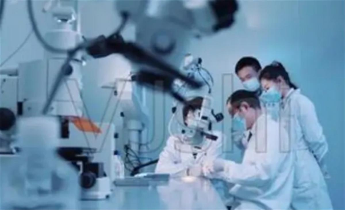 广西富婆与美商斗智斗勇，不但将老美技术引入中国，还狂赚47亿