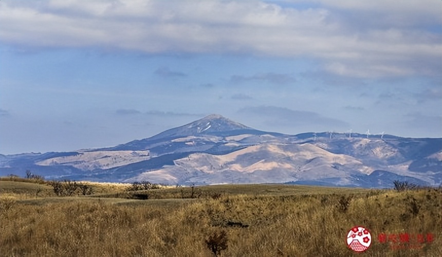 熊本旅行,熊本自由行