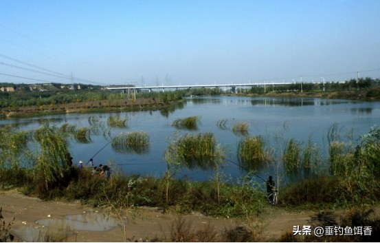 南京钓友钓获通体纯黑怪鱼，连眼睛都是黑的，它的身份真不简单！