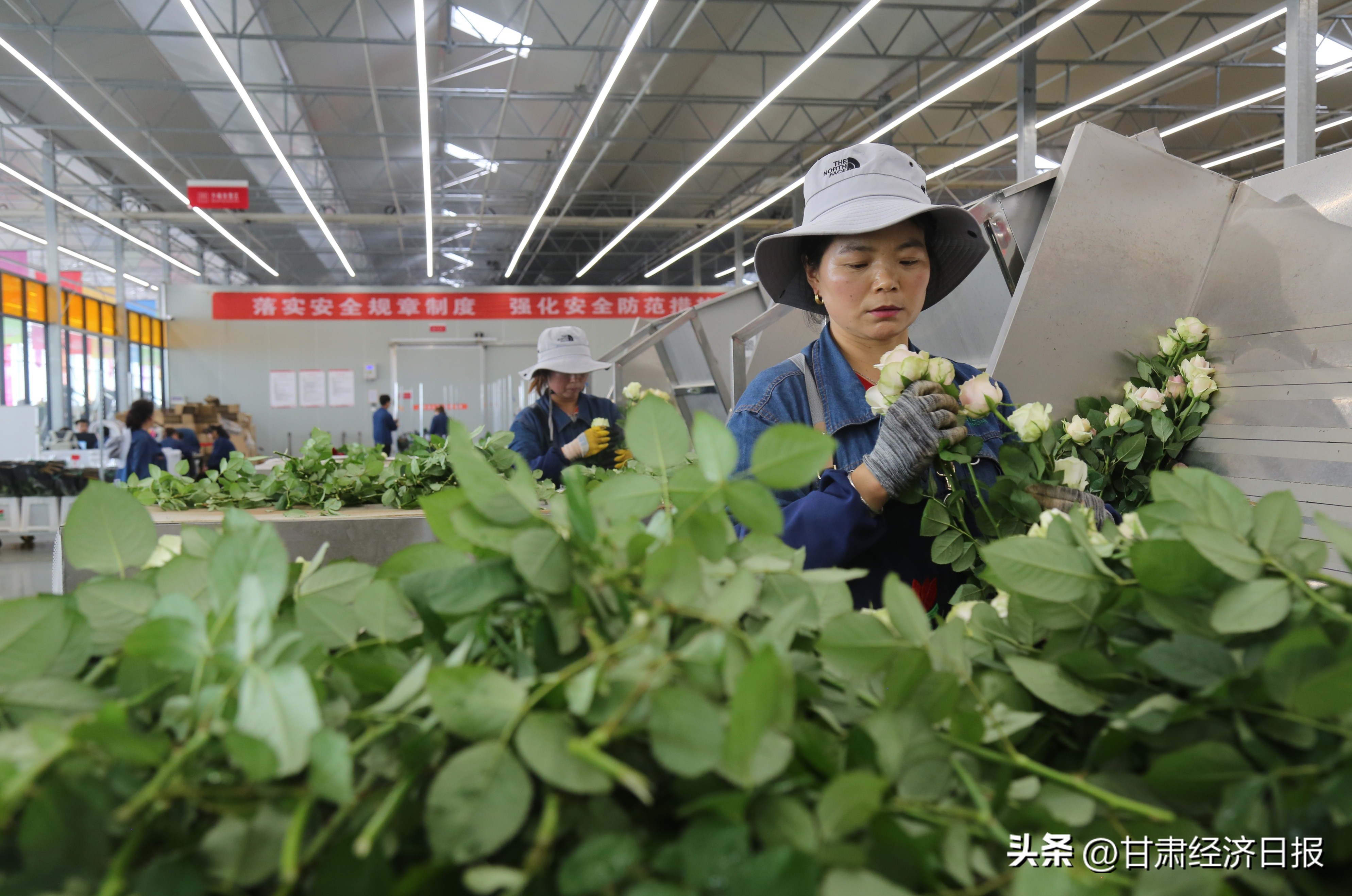 临夏百益亿农国际鲜花港介绍,临夏百益亿农国际鲜花港位置