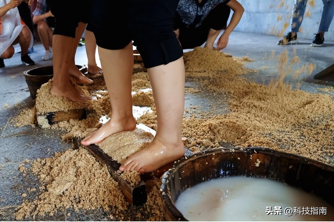 茅台踩曲工照片,茅台踩酒女工视频