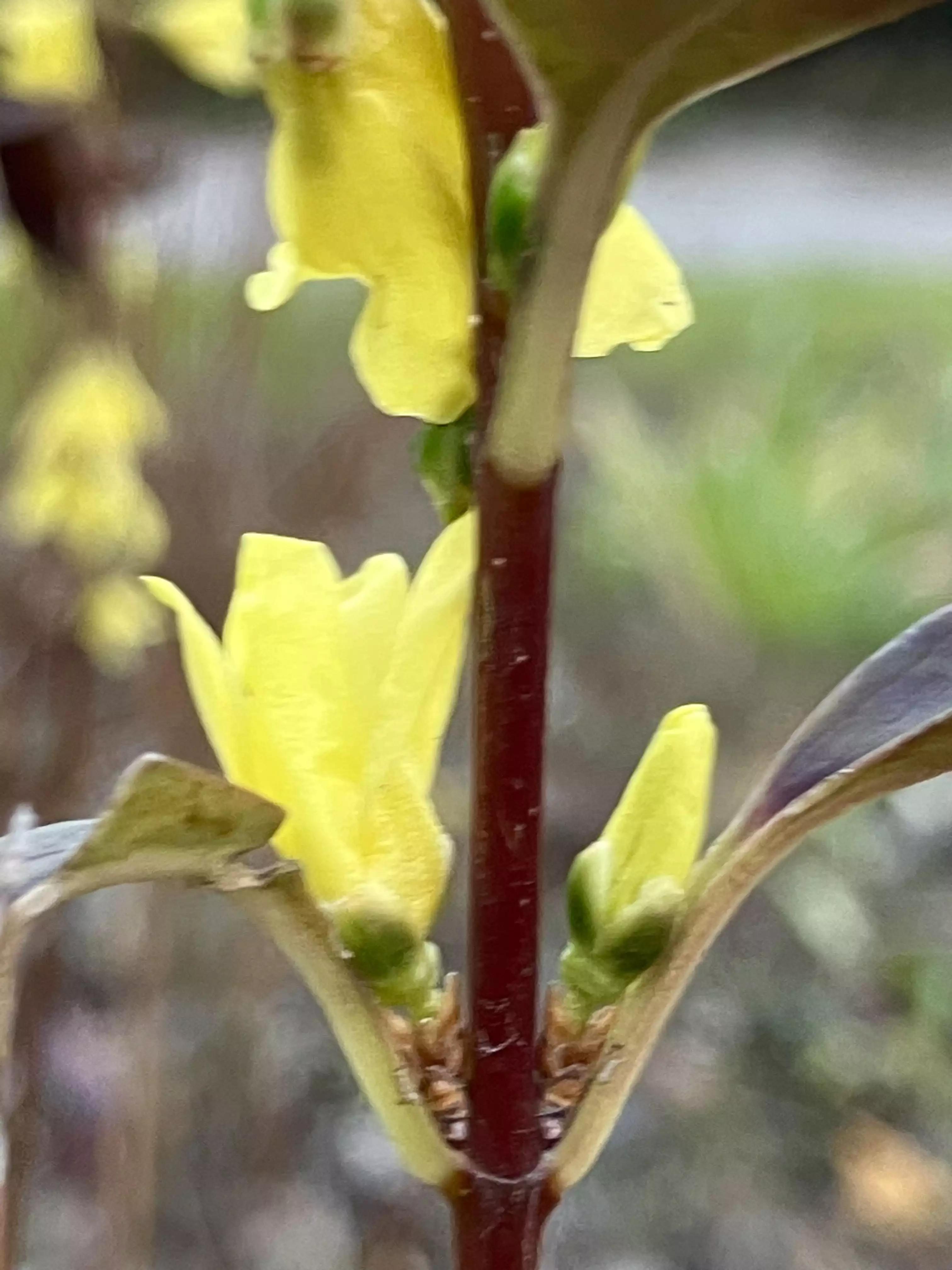 岁月斑驳留下来的都是静好时光,岁月斑驳愿时光静好