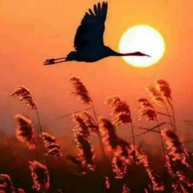 英语历史最悠久的高校,英语世界里第一古老的大学