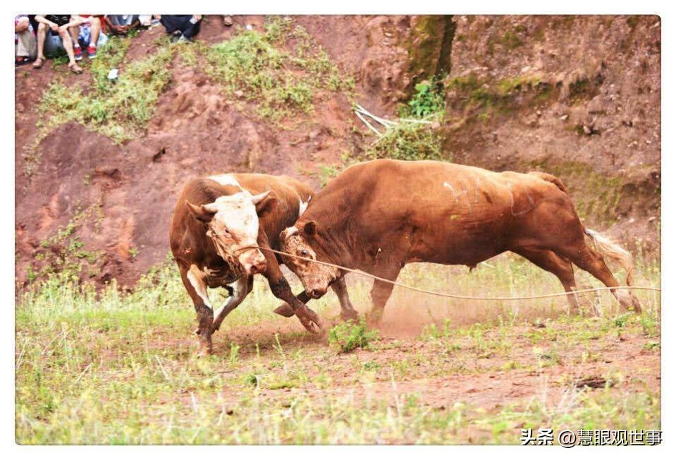 山西孝义土话大全集,孝义方言文字