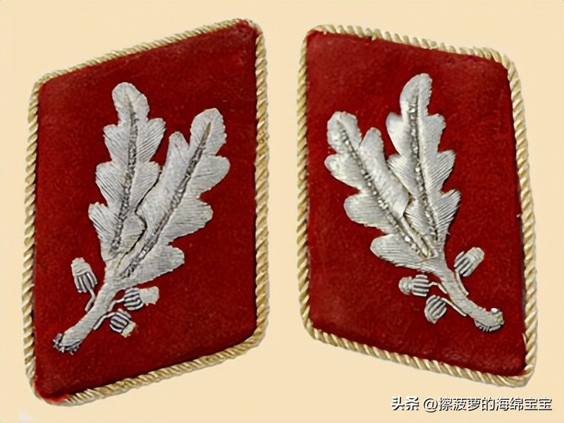 纳粹冲锋队用的什么枪,纳粹德军军衔图解