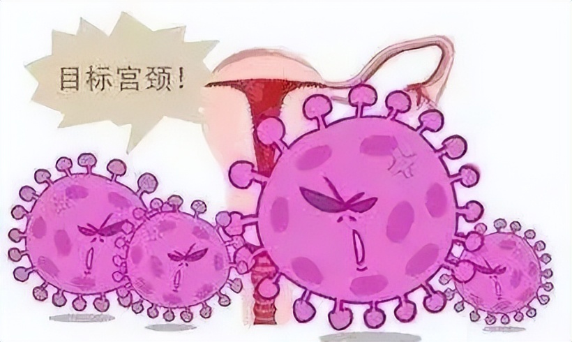 HPV疫苗,国产的进口的有何不同?→点进来有机会获免费名额