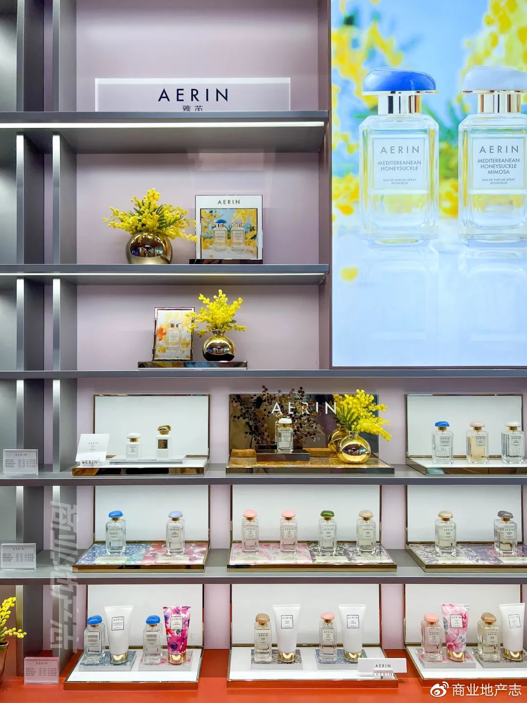 CRR速记|DT51，SKP的mini版？