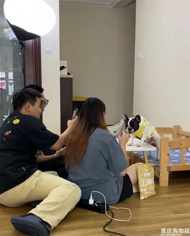 宠物博主有多赚钱,宠物博主怎么盈利