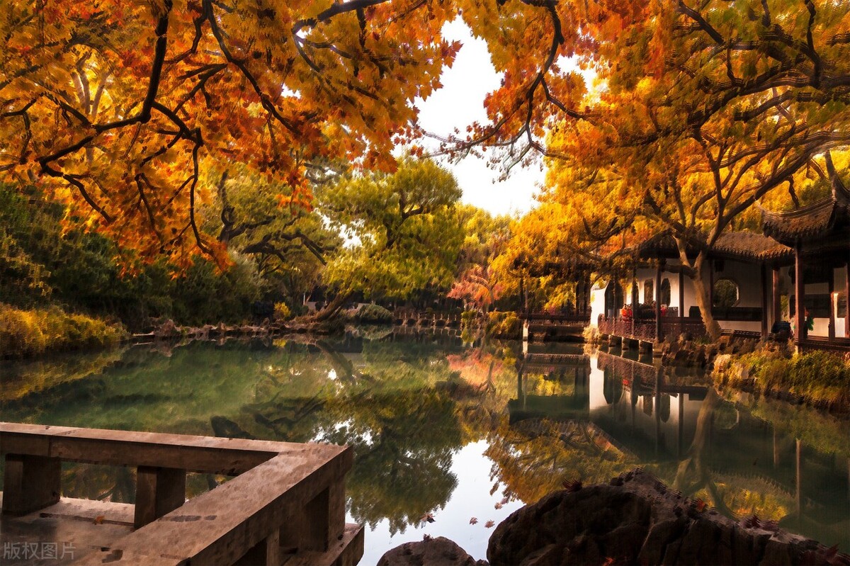 白羊座和金牛座和双子座,十二星座周运白羊座金牛座双子座