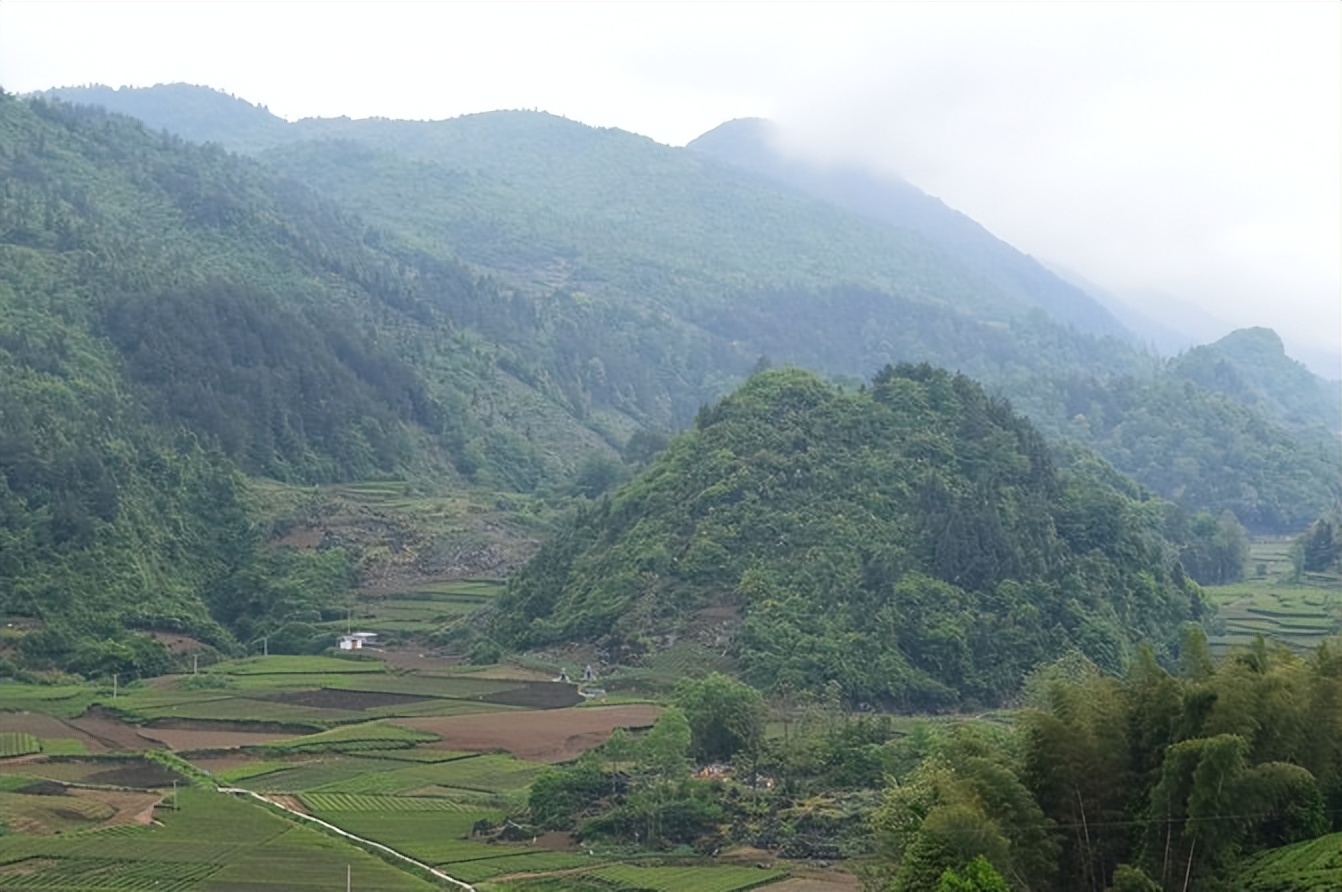 大城武汉,小城恩施——绿油油的伍家台