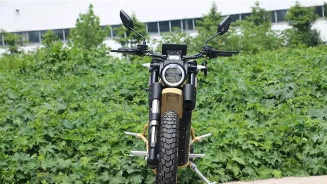 大地鹰王250落地价,国内售价29999元