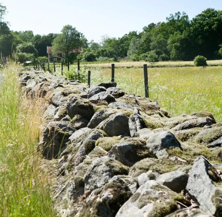 5岁赚钱，店面从瑞典开遍全球各地，宜家为何没有上市？