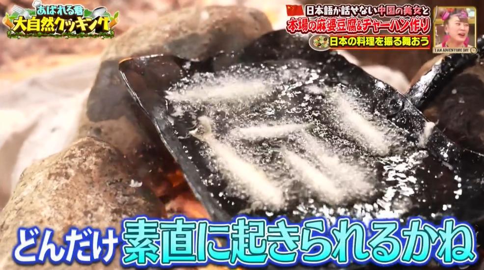 日本男星被迫和中国美女一起“荒野求生”？网友都笑疯了哈哈哈…