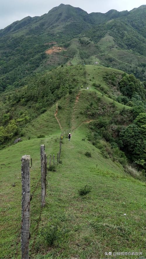 海岸线：邂逅*江阳**——感受这座慢节奏小城文化底蕴感悟人文之美