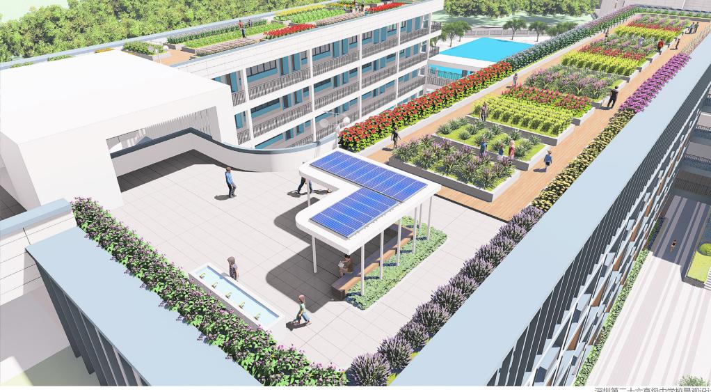 打造学生健康快乐成长的“林中学堂”，这所深圳高中做到了！